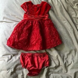 Koala Baby dress & bloomer set